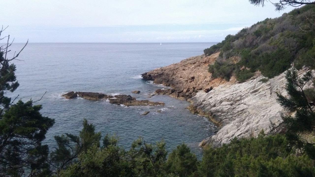 Herberg Casa San Giuseppe - Isola D'elba Cavo