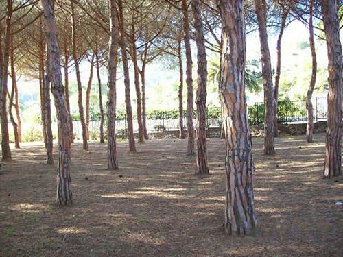 Casa San Giuseppe - Isola D'elba Inn Cavo